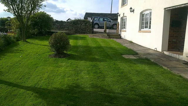 Lawn care