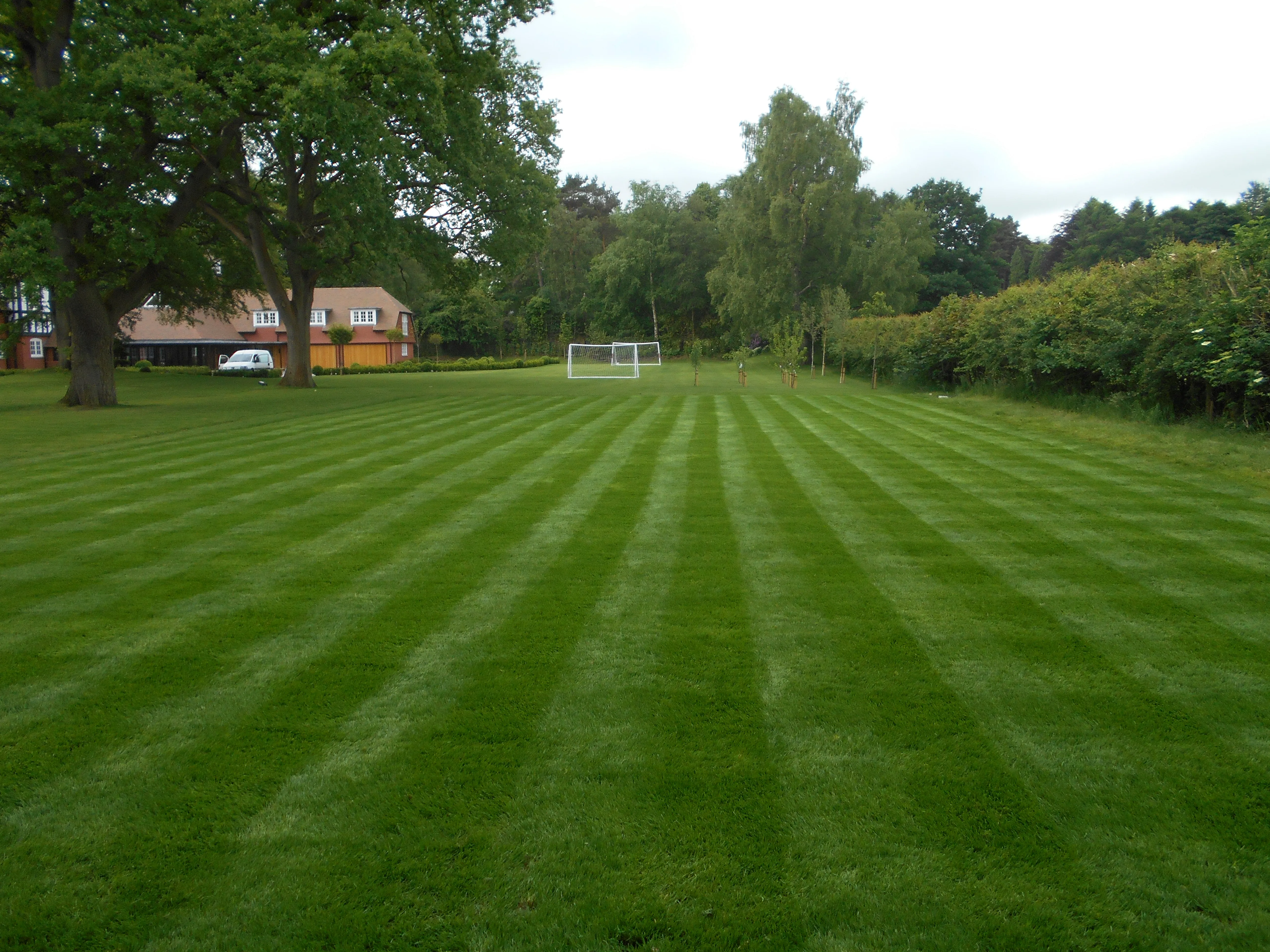 Lawn Care