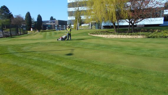 Commercial property getting ground maintenance